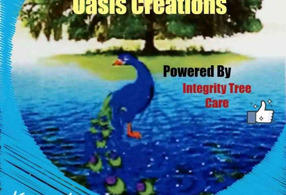 Oasis Creations/ ITC Tree Care