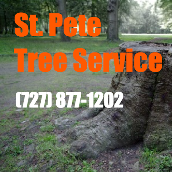 St. Petersburg Tree Service
